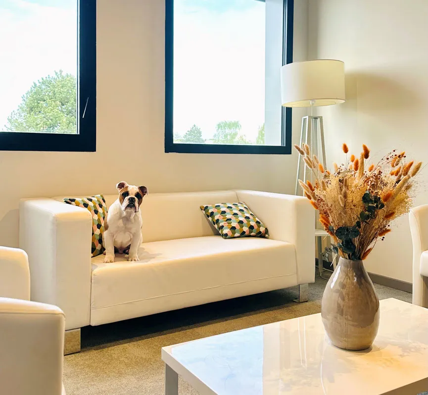 Photo des locaux du cabinet d'expertise comptable Inea Expertise sur Rennes, Le Rheu, l'Ille et Vilaine et la région Bretagne